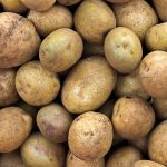 La pomme de terre, ce qu’il faut savoir