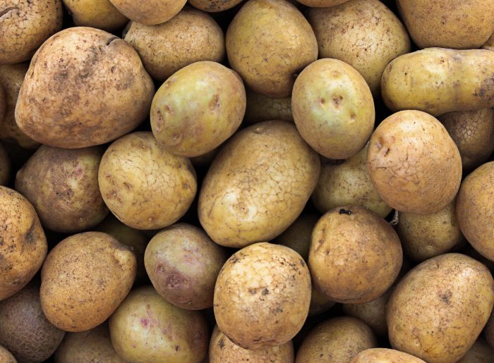 La pomme de terre : valeurs nutritives, calories, bienfaits santé, recettes et utilisations