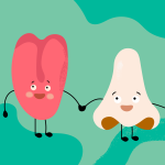 Tout sur la rétro-olfaction