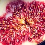 La figue est-elle végane?
