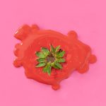 Que faire avec les fraises trop mûres?