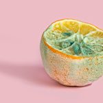 Manger un aliment partiellement moisi? 