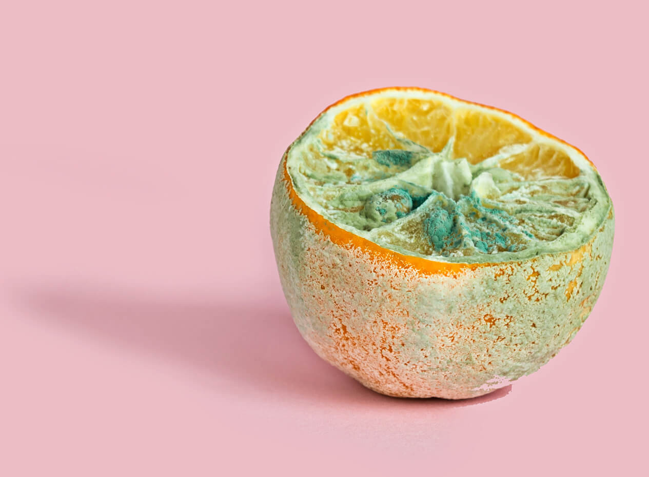 Moisissures sur les aliments