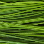Fresh Herbs