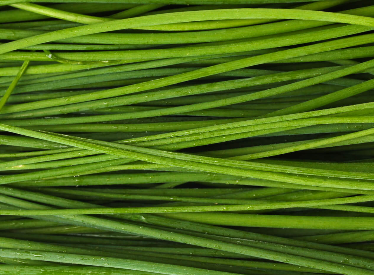 Chives and fresh herbs