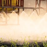 Quels fruits et légumes ont le plus de pesticides?