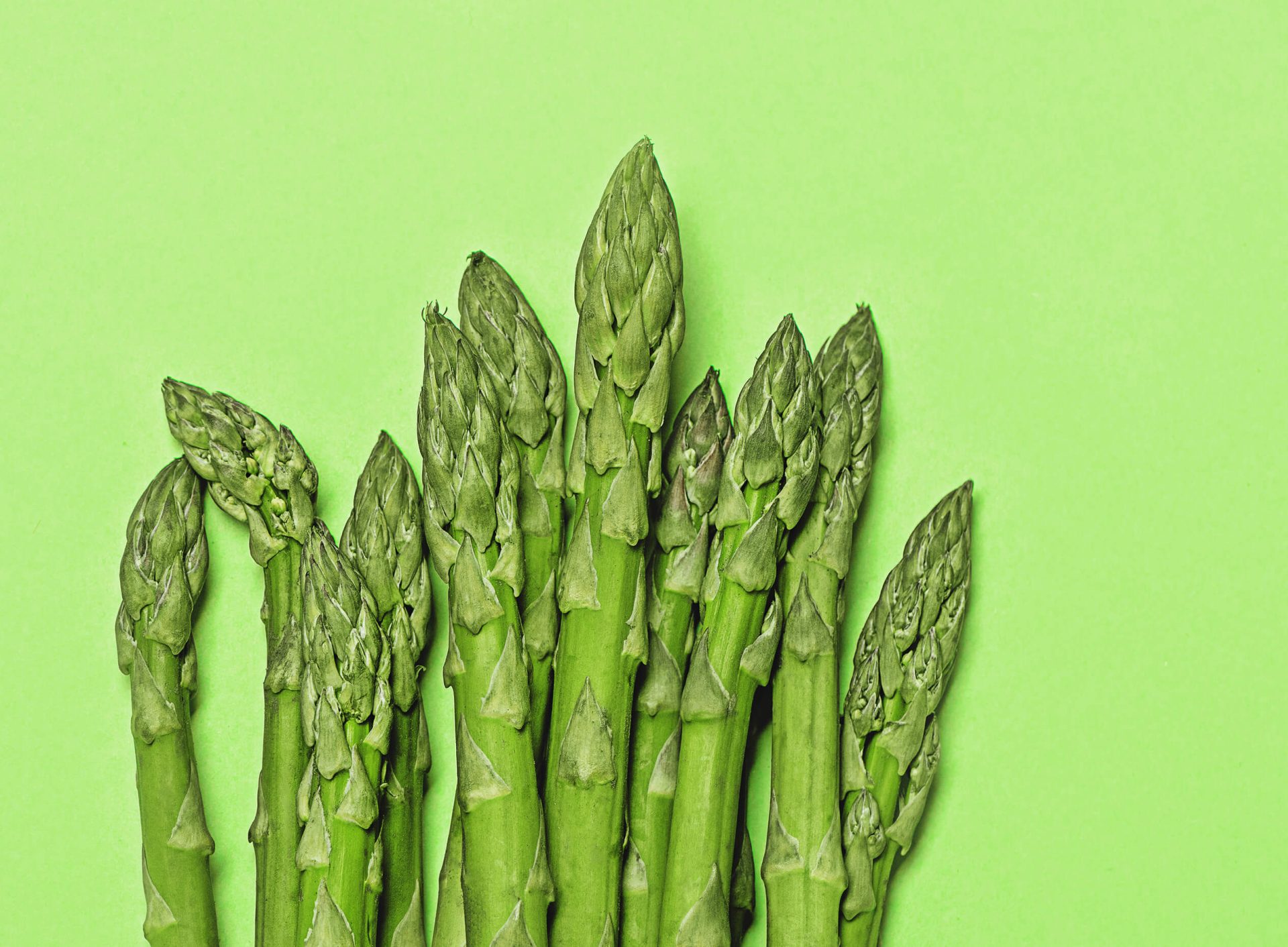 L'asperge, ce qu'il faut savoir