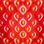 Les fraises du Québec, ce qu’il faut savoir