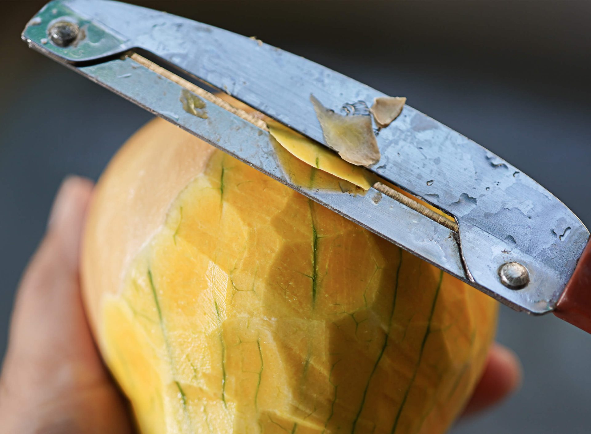 Que faire avec les pelures de courge?