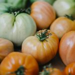 La tomate verte est-elle toxique?