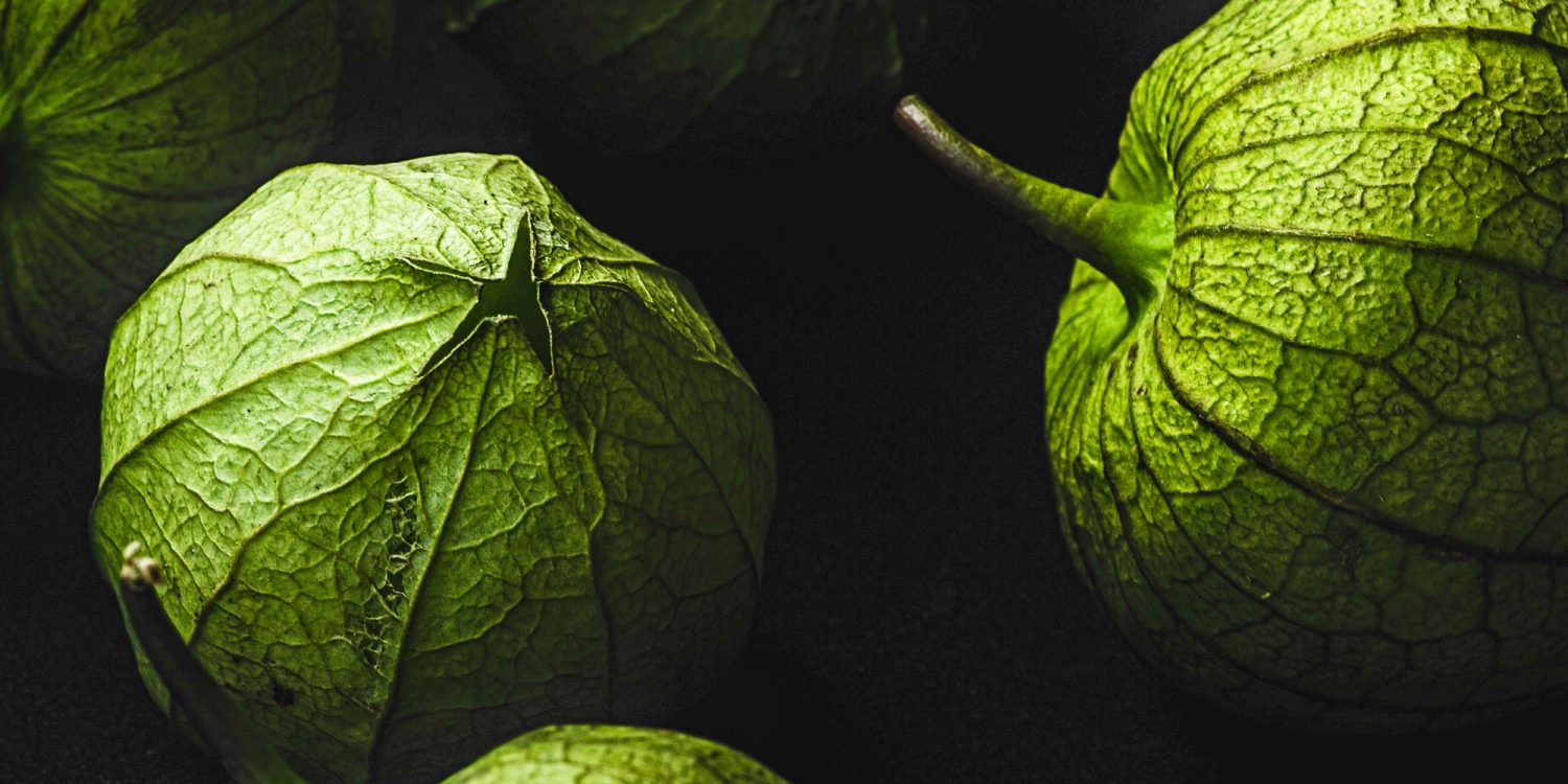 Tomatillo et physalis