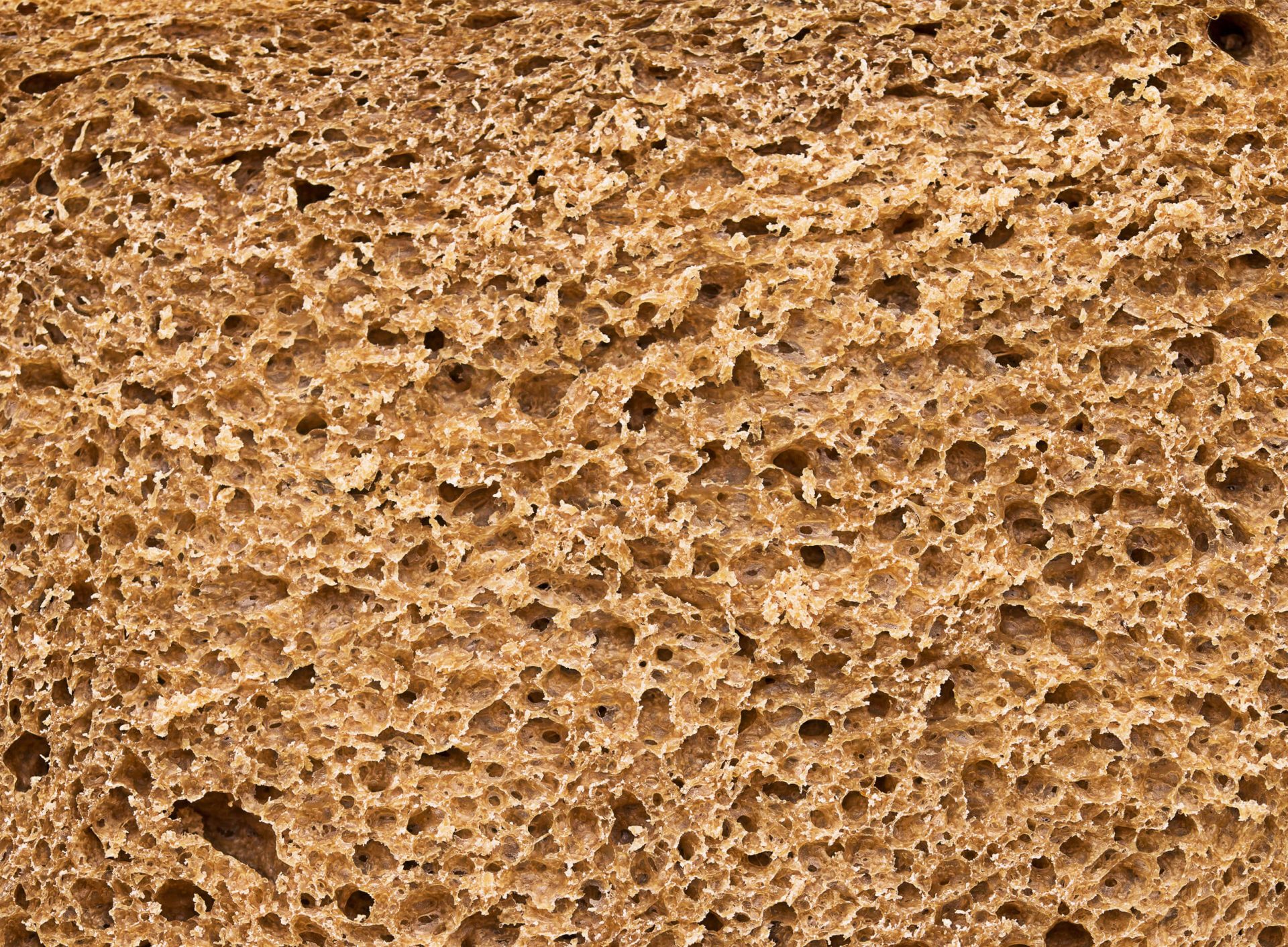 How to Choose the Best Bread at The Grocery Store