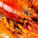 Homards et crustacés, bons pour la santé?