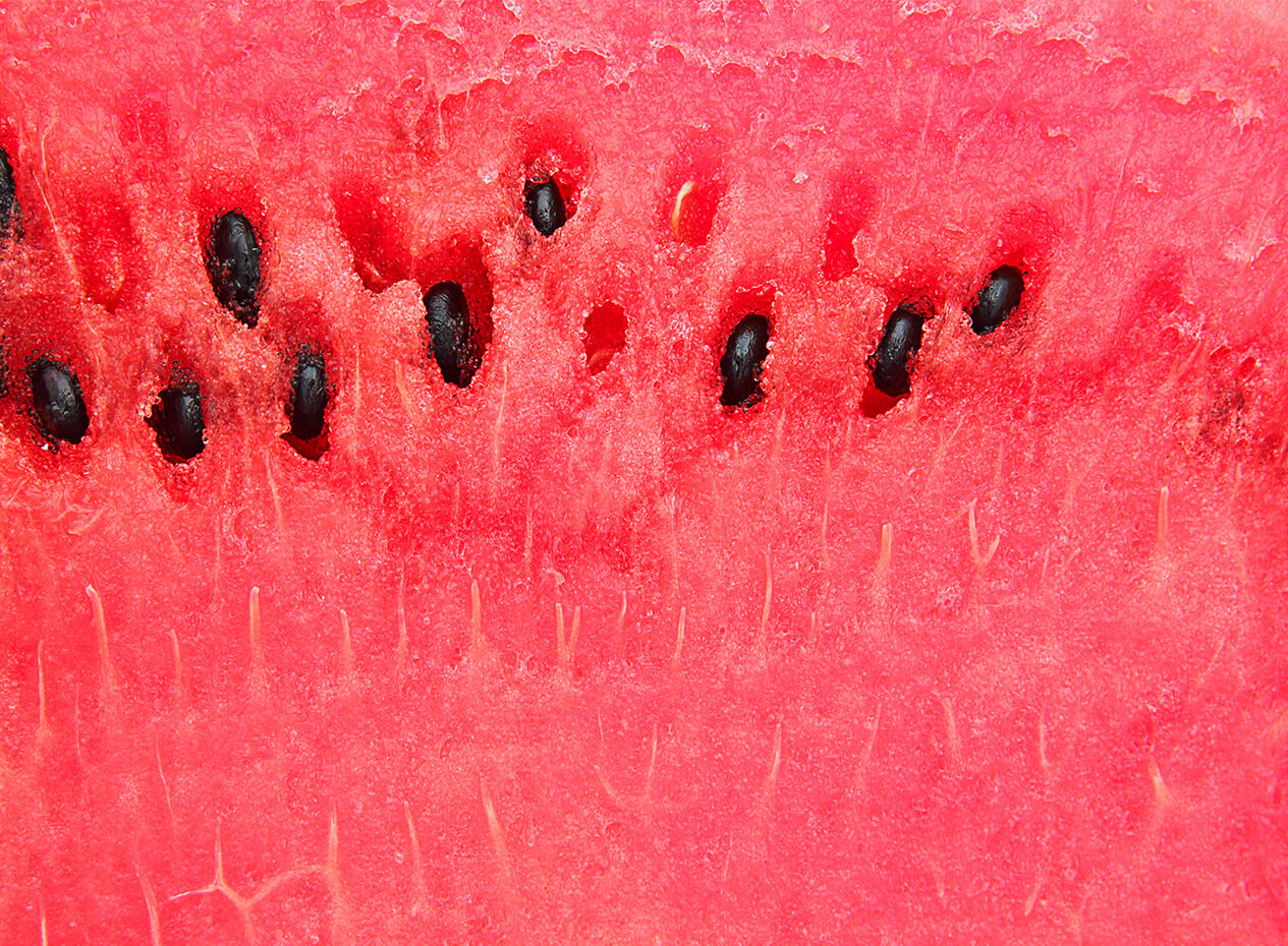 Le melon d'eau : manger son écorce et ses graines
