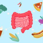 L’alimentation et le syndrome du côlon irritable