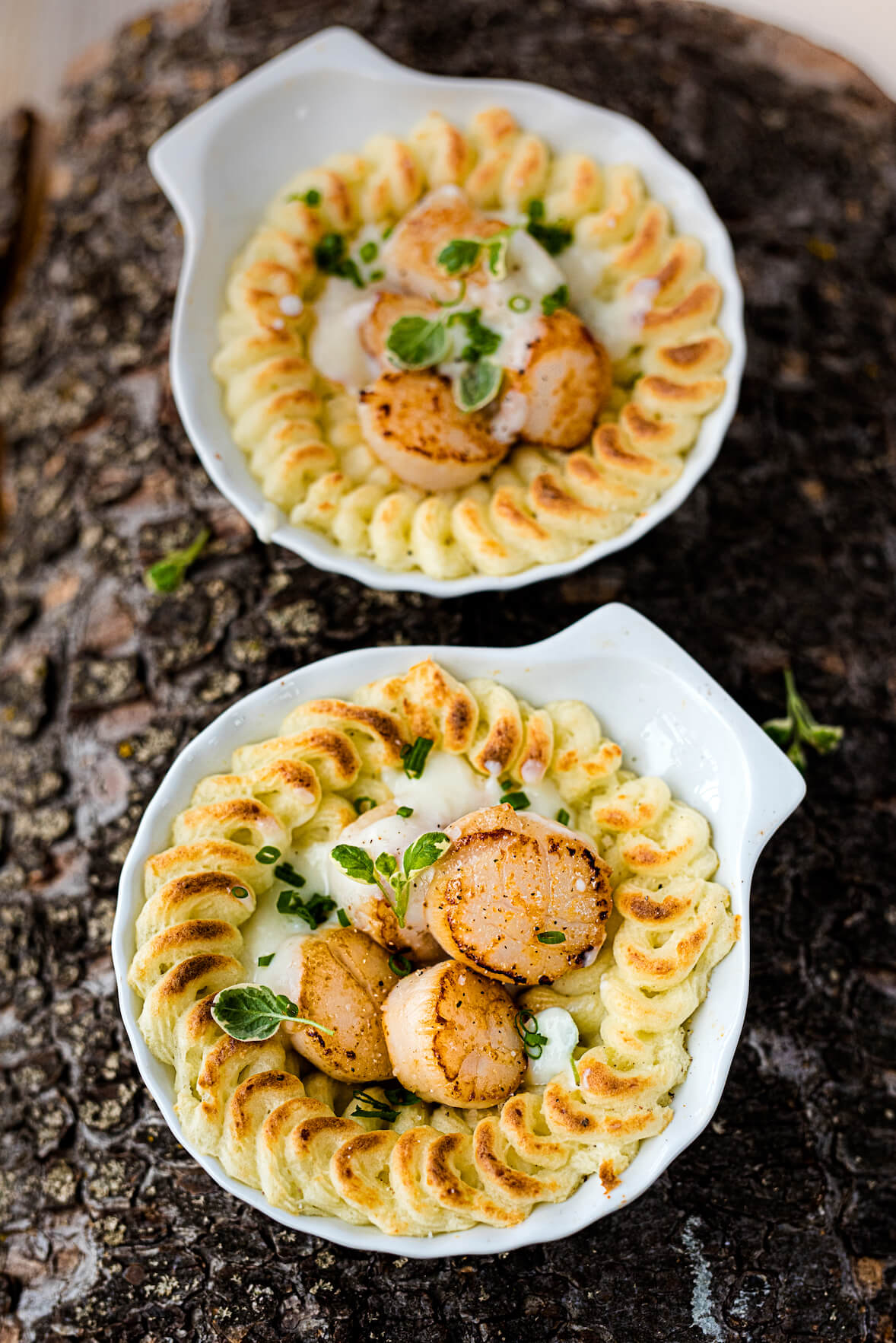 Coquilles Saint-Jacques