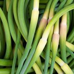 La fleur d’ail, produit du Québec à découvrir