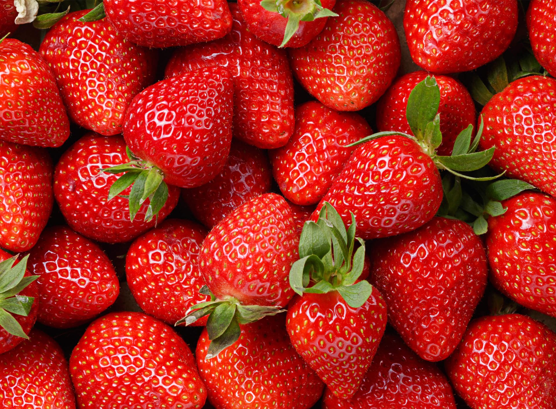 10 faits sur la fraise