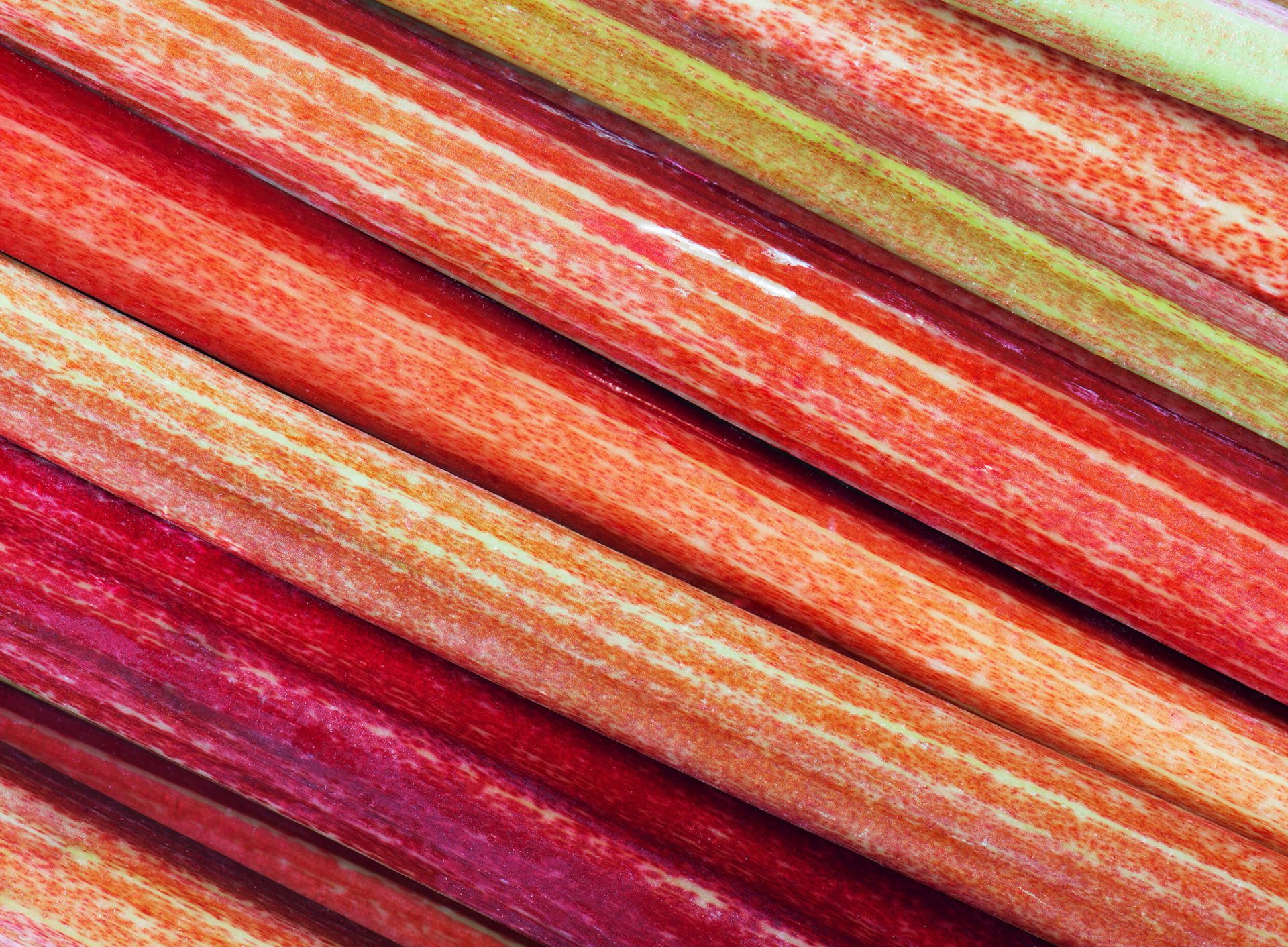5 façons de découvrir la rhubarbe