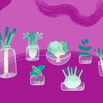 Découvre 5 légumes qui repoussent après les avoir coupés