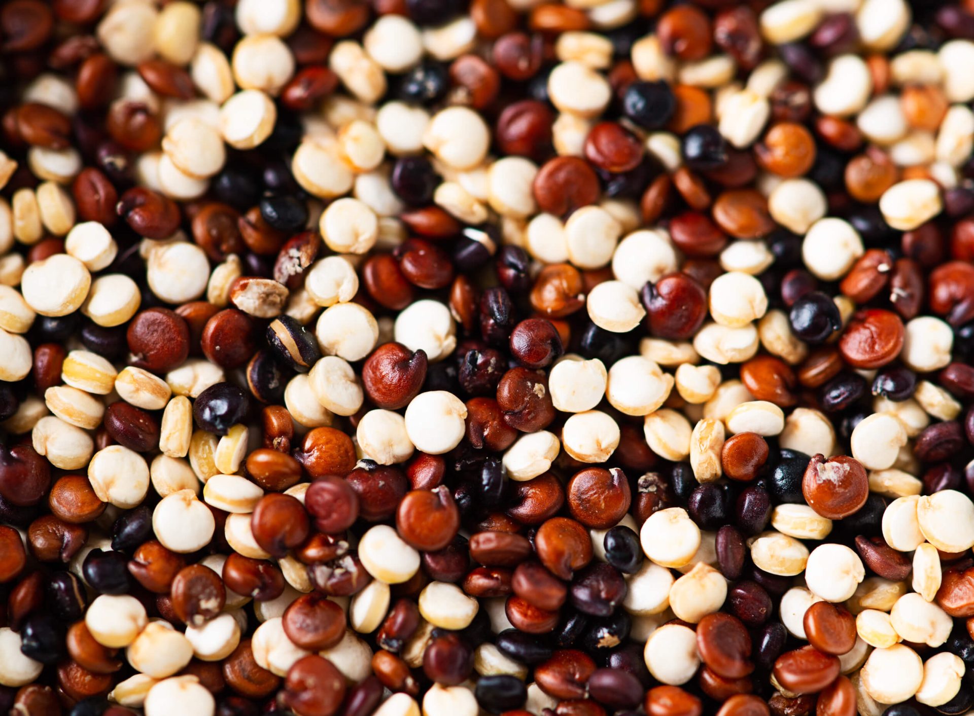 Quinoa bienfaits