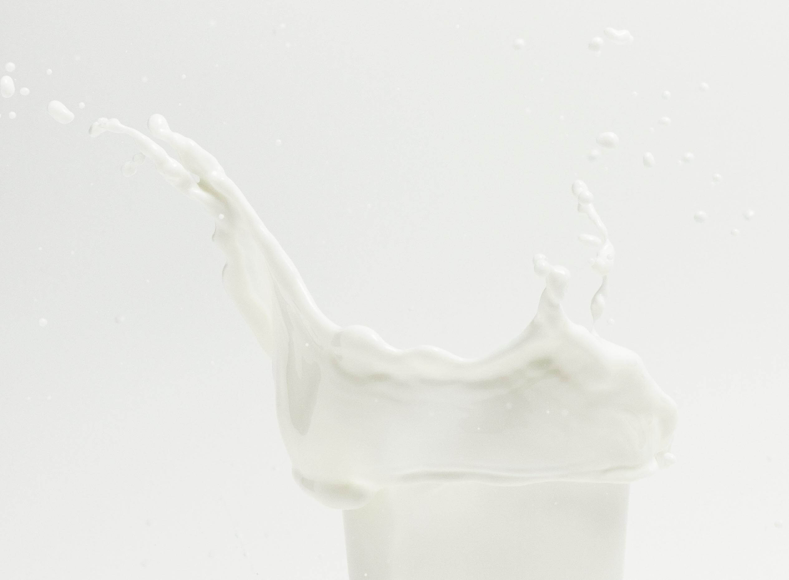 Tout sur le kéfir