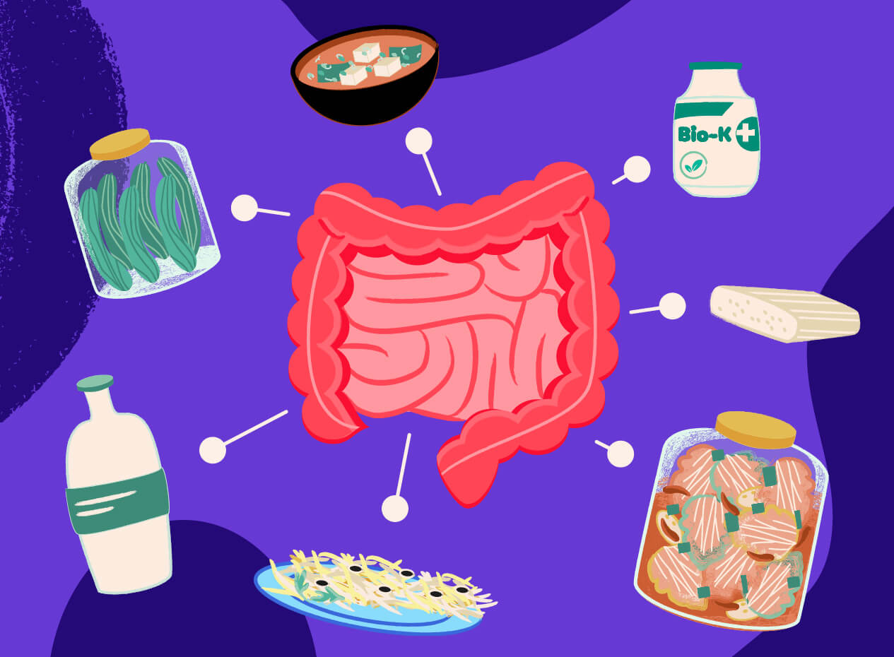 Les aliments riches en probiotiques