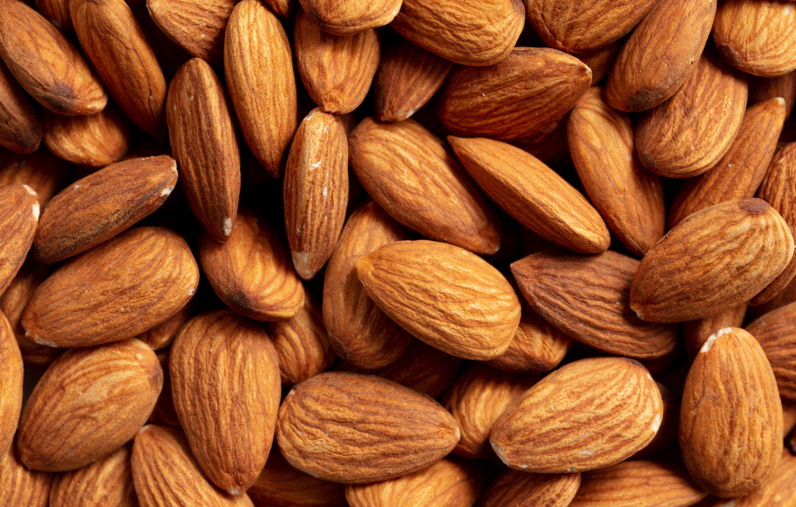 aliments-coupe-faim