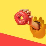 Everything You Need to Know About Diabetes