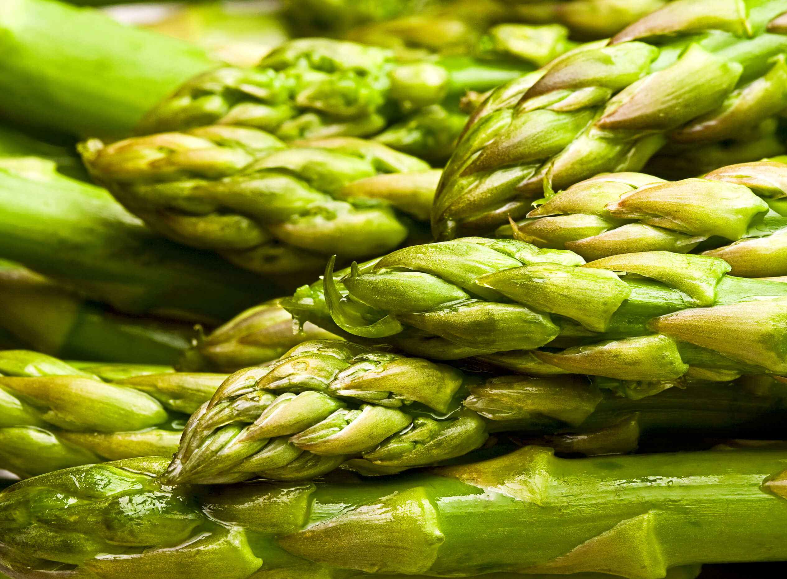 recettes-asperges