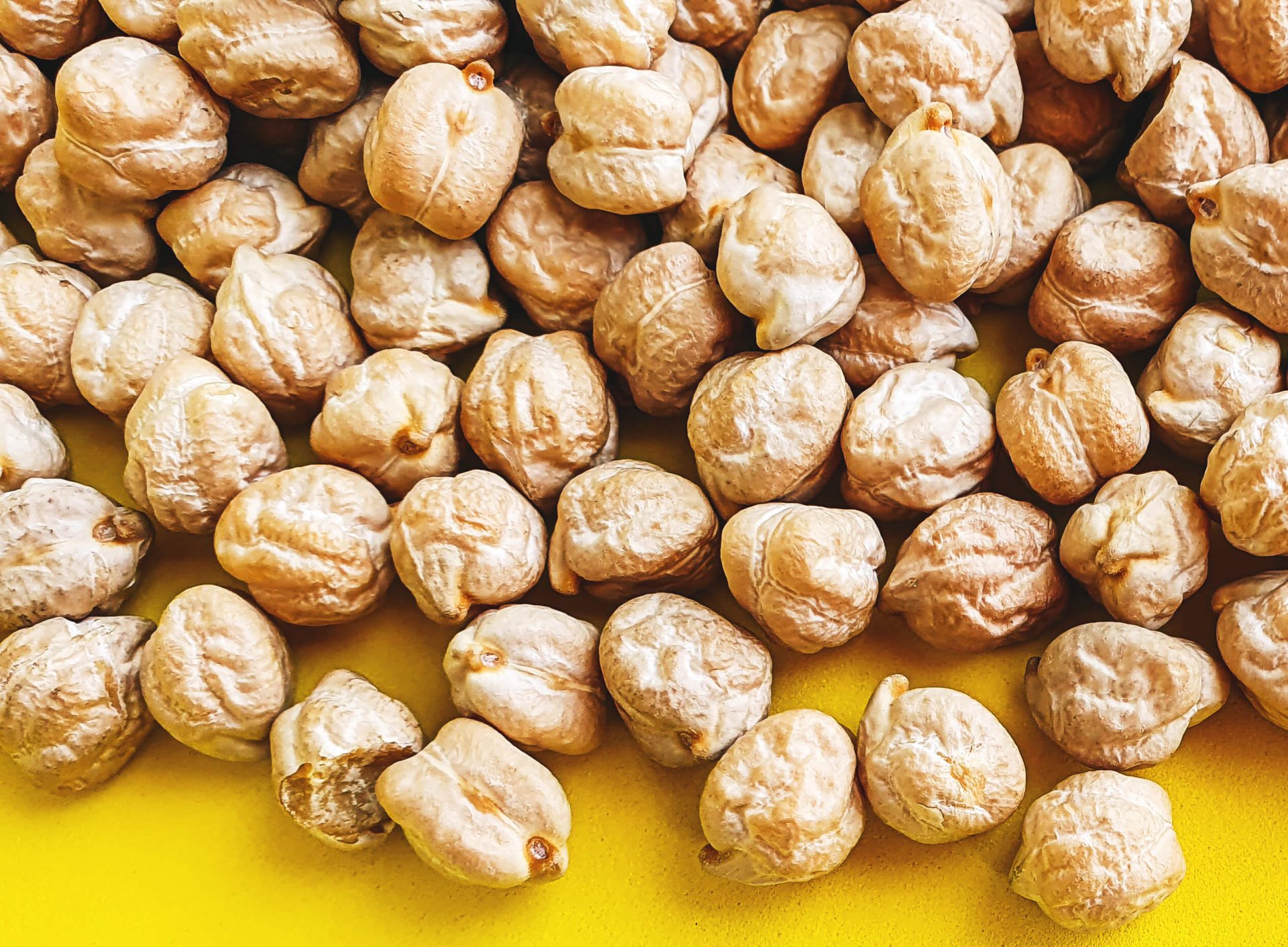 Tout sur les pois chiches