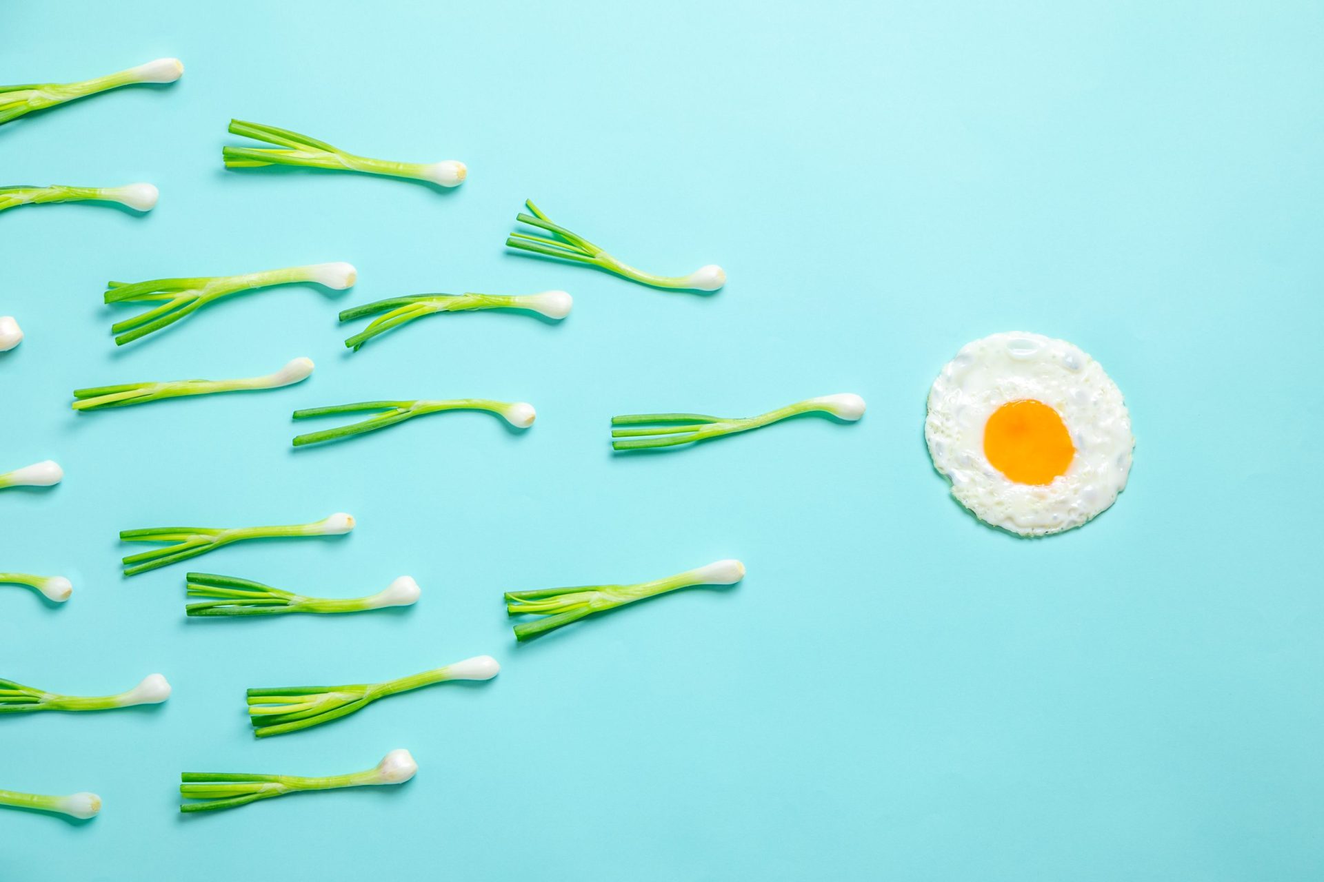 L'impact du poids et de l'alimentation sur la fertilité