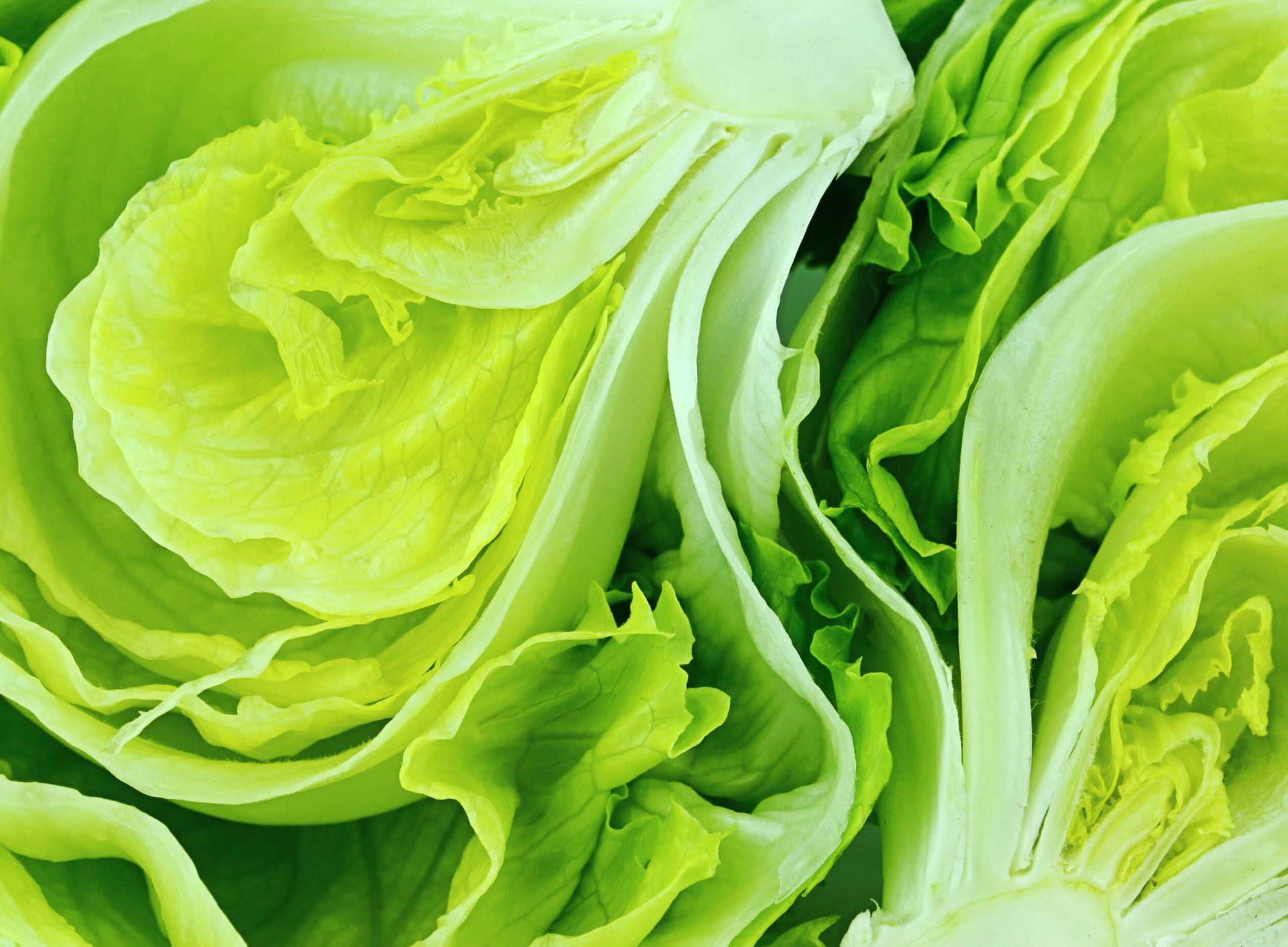 Comment préparer une salade santé