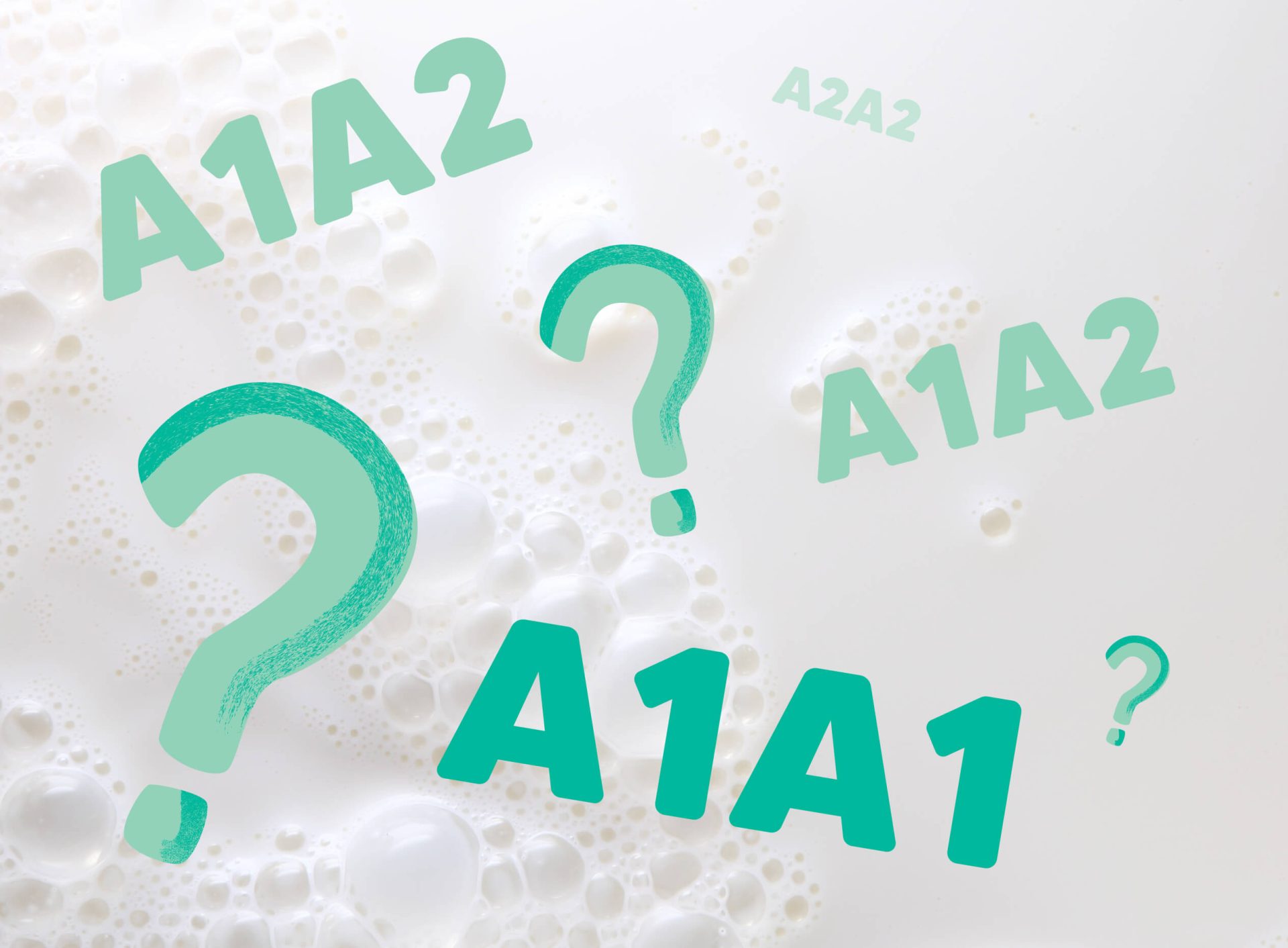 Tout sur le lait a1