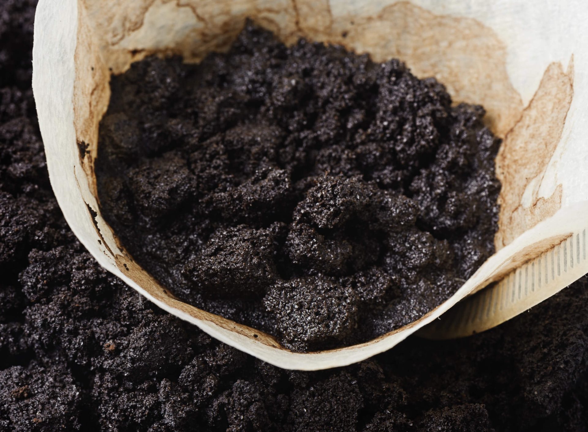 Quoi faire avec le marc de café?