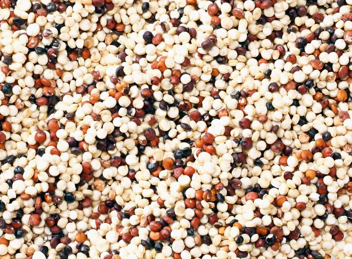 Le quinoa : valeurs nutritives, calories, bienfaits santé, recettes et utilisations