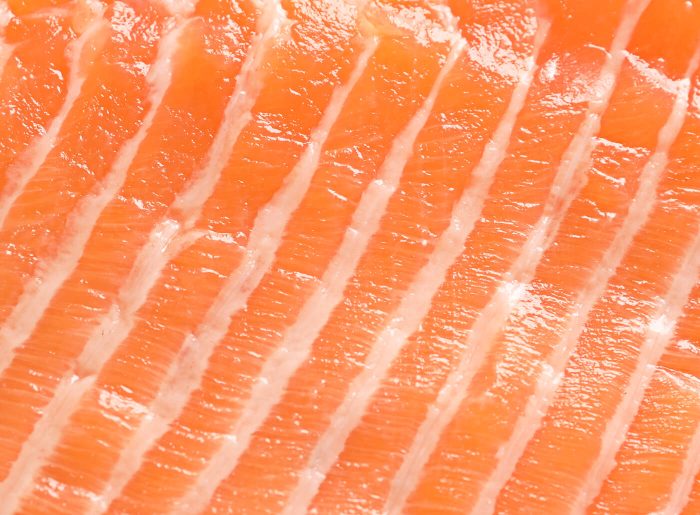 Le saumon : valeurs nutritives, calories, bienfaits santé, recettes et utilisations
