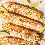 Maïs Elote