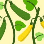 Les Meilleures Recettes avec des Courgettes