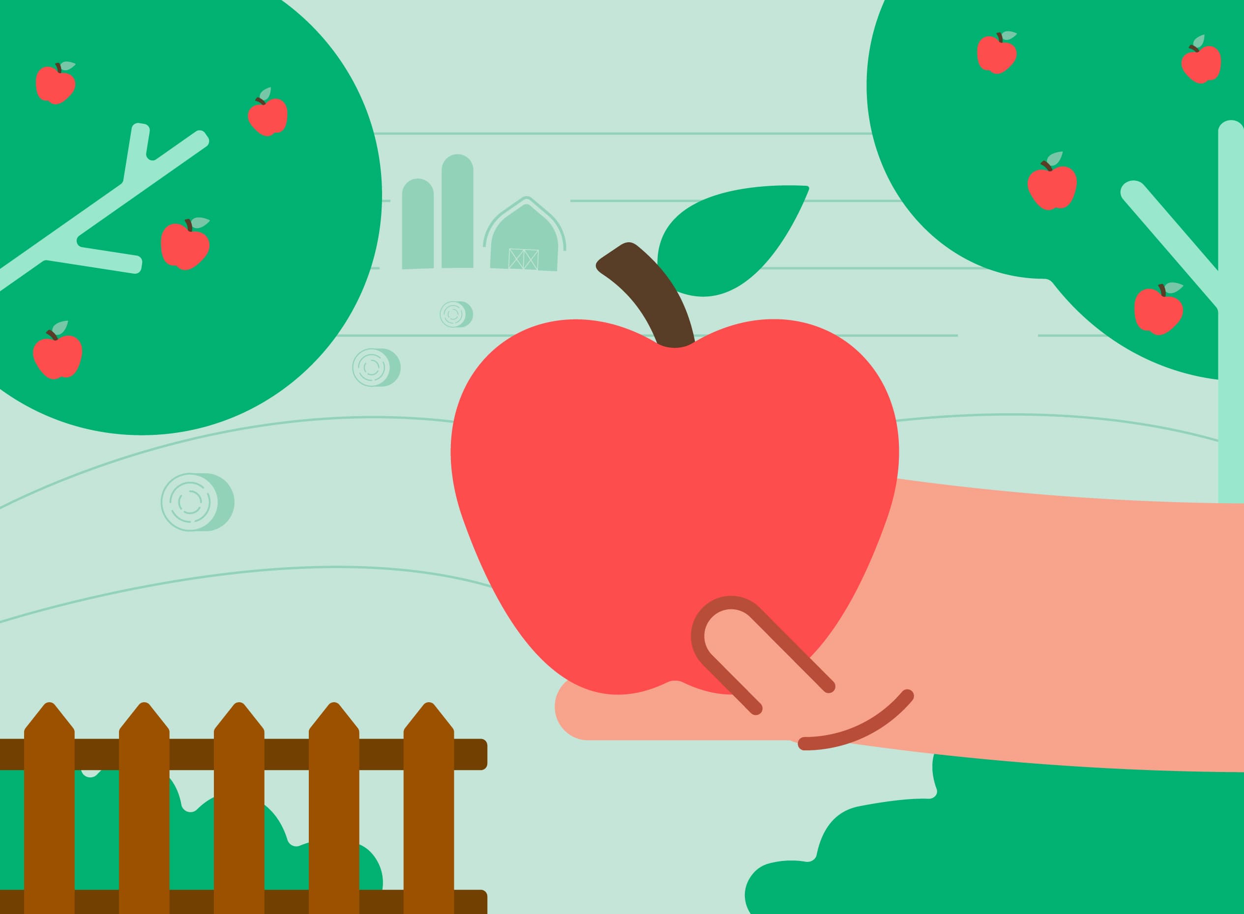 Les meilleures recettes pour cuisiner la pomme