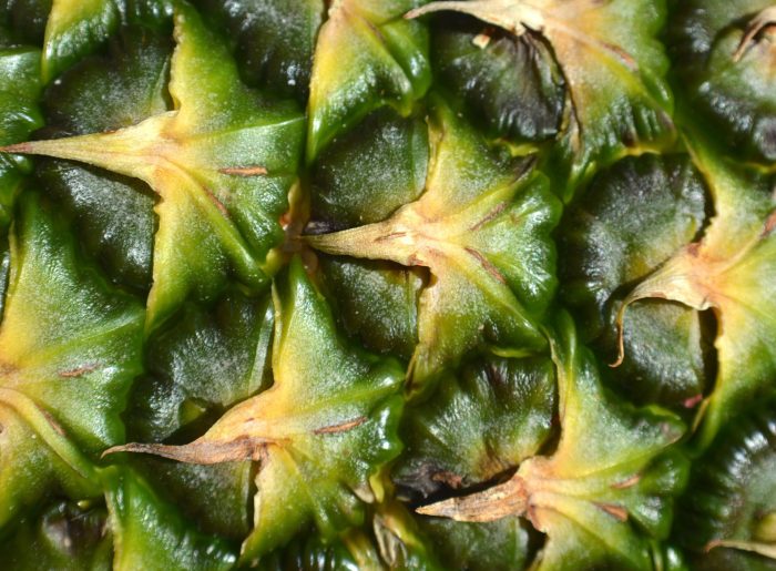 L'ananas : valeurs nutritives, calories, bienfaits santé, recettes et utilisations
