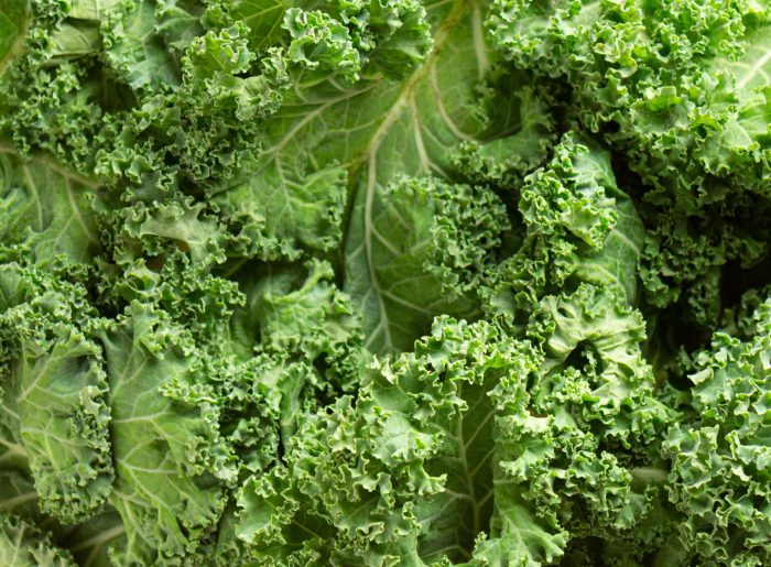 Le chou kale : valeurs nutritives, calories, bienfaits santé, recettes et utilisations