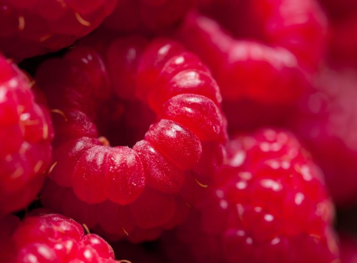 La framboise : valeurs nutritives, calories, bienfaits santé, recettes et utilisations