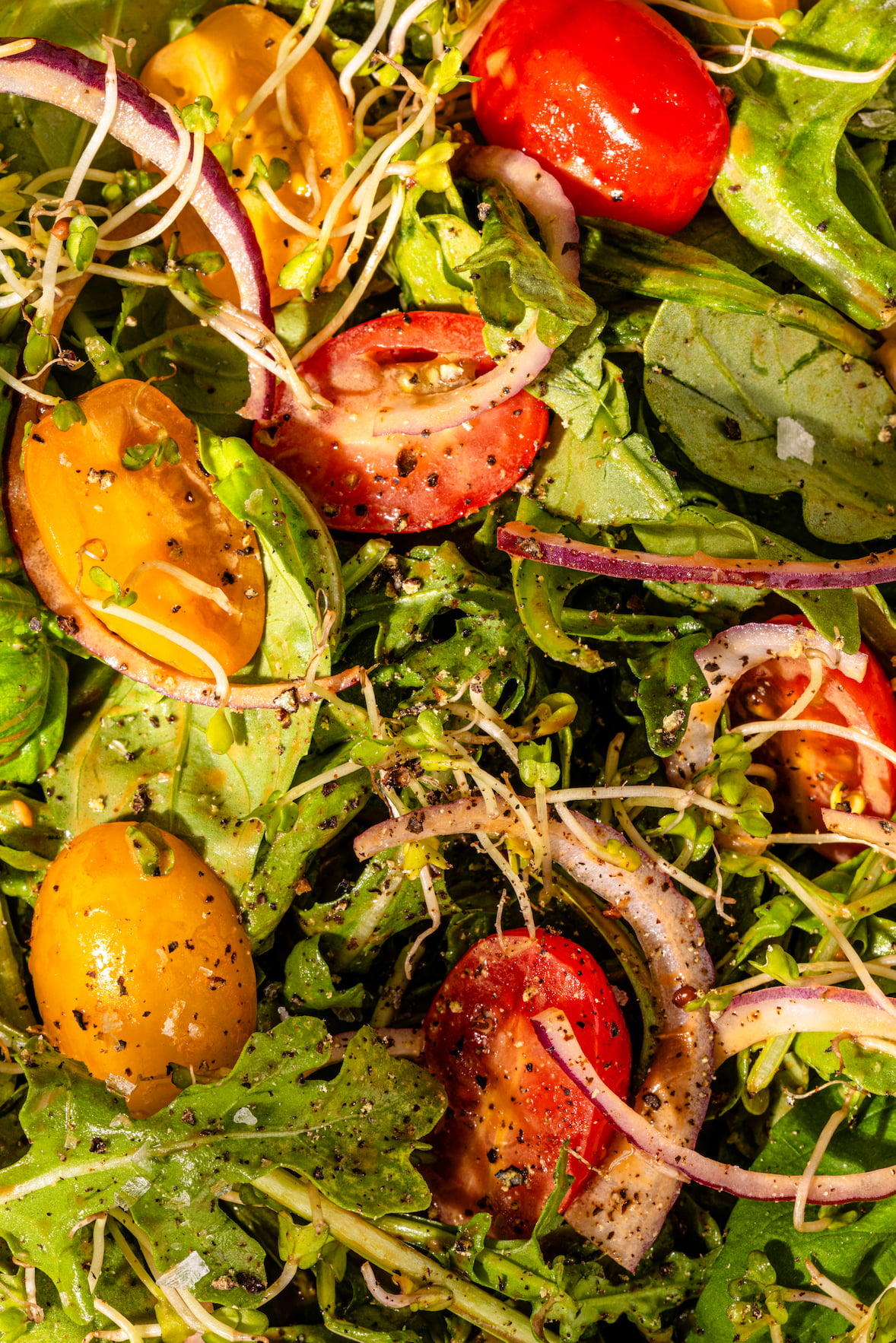 Salade de roquette simple