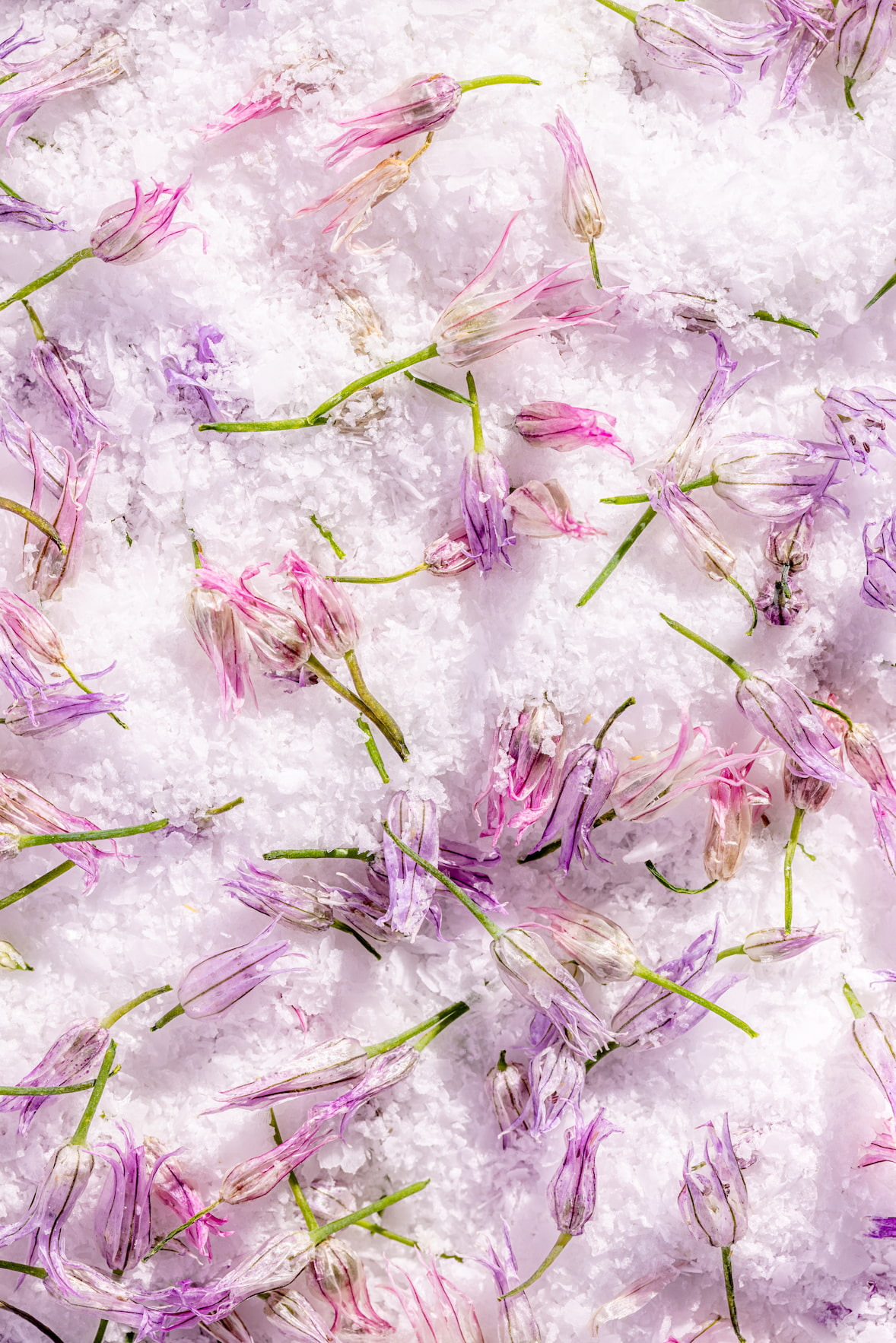 Sel aromatisé à la fleur de ciboulette